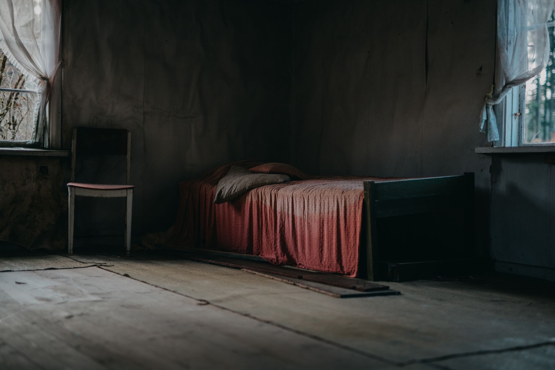 Traitement Punaises de Lit à Ozoir-la-Ferrière
